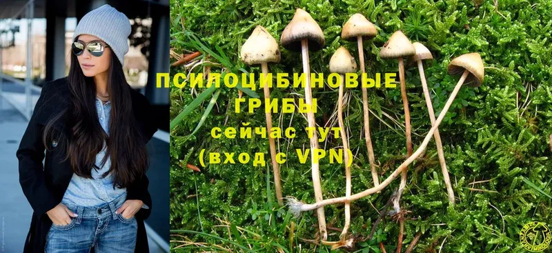 Псилоцибиновые грибы Magic Shrooms  Полысаево 